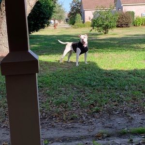 Meet your Posher, Derrick